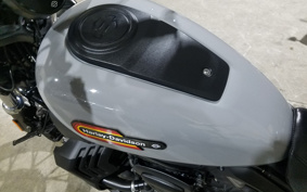 HARLEY  HARLEY RH975S NIGHT  STAR  2024 ZF1