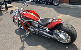 HARLEY VRSCAW 2009 HFH