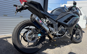KAWASAKI NINJA 250 EX250L