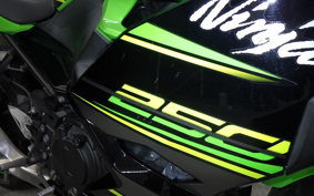 KAWASAKI NINJA 250 2018 EX250P