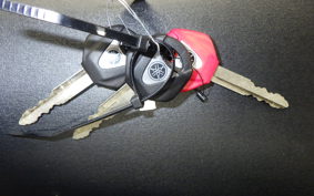 YAMAHA YZF-R1 M 2022 RN65J