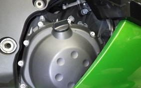 KAWASAKI ZX 1400 NINJA R A 2014