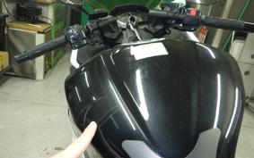 KAWASAKI NINJA 250 ABS EX250L