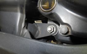 KAWASAKI NINJA 250 EX250L