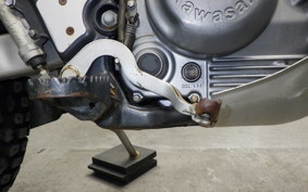 KAWASAKI SUPER SHERPA 2020 KL250G