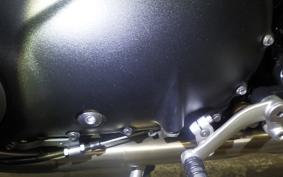 TRIUMPH SPEED TWIN 2022