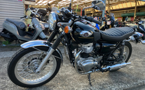 KAWASAKI W800 2025 EJ800E
