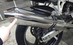 KAWASAKI ZX900R NINJA 2001 ZX900E