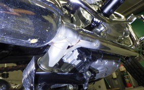 KAWASAKI W800 2025 EJ800E