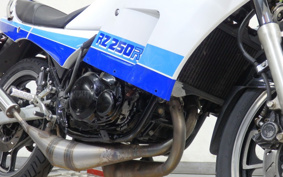 YAMAHA RZ250RR 29L