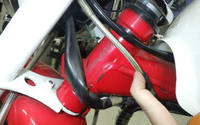 HONDA MONKEY 2024 AB27