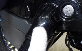 HARLEY FXBB1920 2026