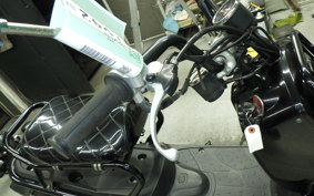 HONDA ZOOMER 2025 AF58