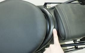 HONDA REBEL 250 2008 MC49