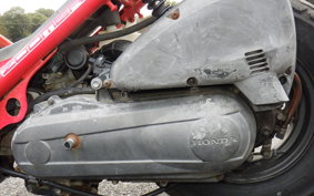 HONDA ZOOMER AF58