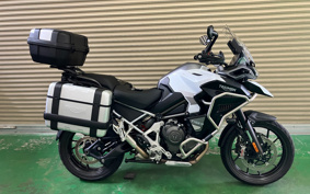 TRIUMPH TIGER 1200GTEKUSUP 2024 TAP24V