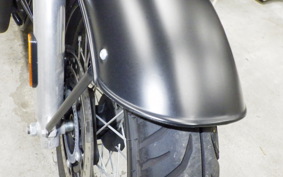 OTHER ENFIELD BULLET 350 2024