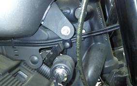 HARLEY XL1200CX 2017