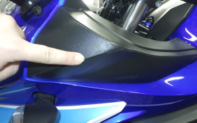 SUZUKI GSX250 R