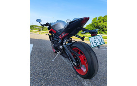 TRIUMPH STREET TRIPLE RX 2026 A6244X