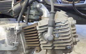 OTHER +UNREGISTERED MODEL by BDS50