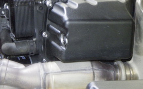 TRIUMPH STREET TRIPLE R 2019