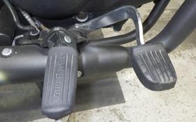 OTHER ENFIELD CLASSIC 350 2023