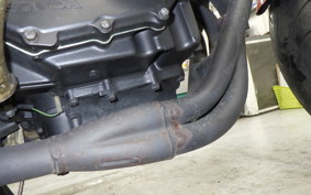 HONDA HORNET 250 2025 MC31