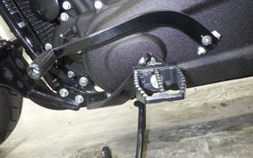 HARLEY FXLRST1920 2024