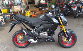 KAWASAKI Z125 PRO BR125H
