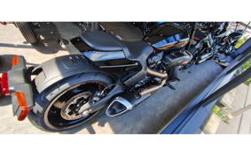 HARLEY FXDR114 2019 YVK