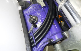 YAMAHA TT250R RAID 4WA