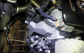 KAWASAKI W800 2025 EJ800E