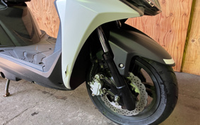 HONDA TOMOS