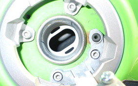 KAWASAKI NINJA 400 2019 EX400G
