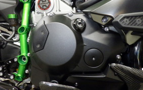 KAWASAKI NINJA H2 CARBON 2021 ZXT02J