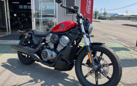 HARLEY  HARLEY RH975 NIGHT  STAR  2024 ZH1