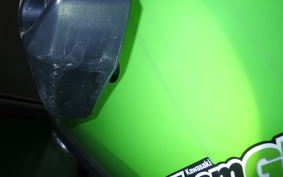 KAWASAKI NINJA 250 2022 EX250L
