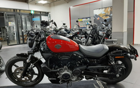 HARLEY HARLEY RH975 NIGHT  STAR 2023 ZH1