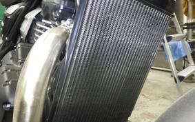 TRIUMPH SPEED400 2026