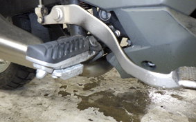 KAWASAKI VERSYS X250 A LE250D