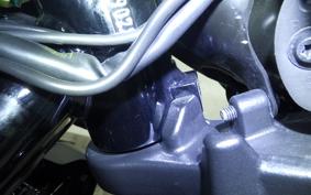 HARLEY RH975S 2023