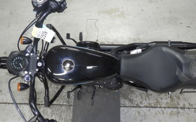 HARLEY XL1200NS 2019