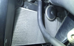 KAWASAKI NINJA 250R 2022 EX250K