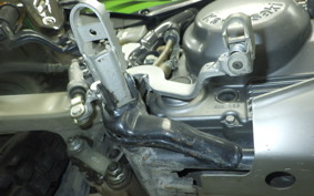 KAWASAKI SUPER SHERPA 2026 KL250G
