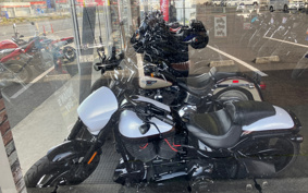 HARLEY FXSE CVO 2017 TG9