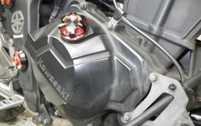 KAWASAKI NINJA 250 EX250L
