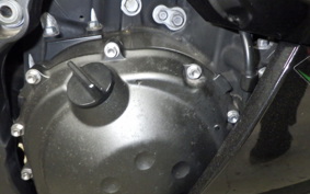 KAWASAKI ZX 1400 NINJA R A 2013