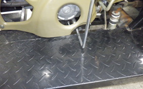 OTHER UNREGISTERED MODEL by BDS125 TRIKE 2021