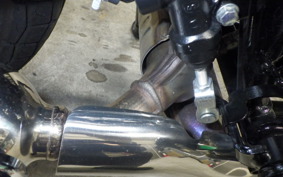 KAWASAKI W230 2026 BJ230A